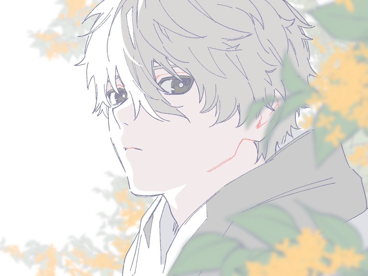 ときどきっと (@oekkbll) on Twitter photo 