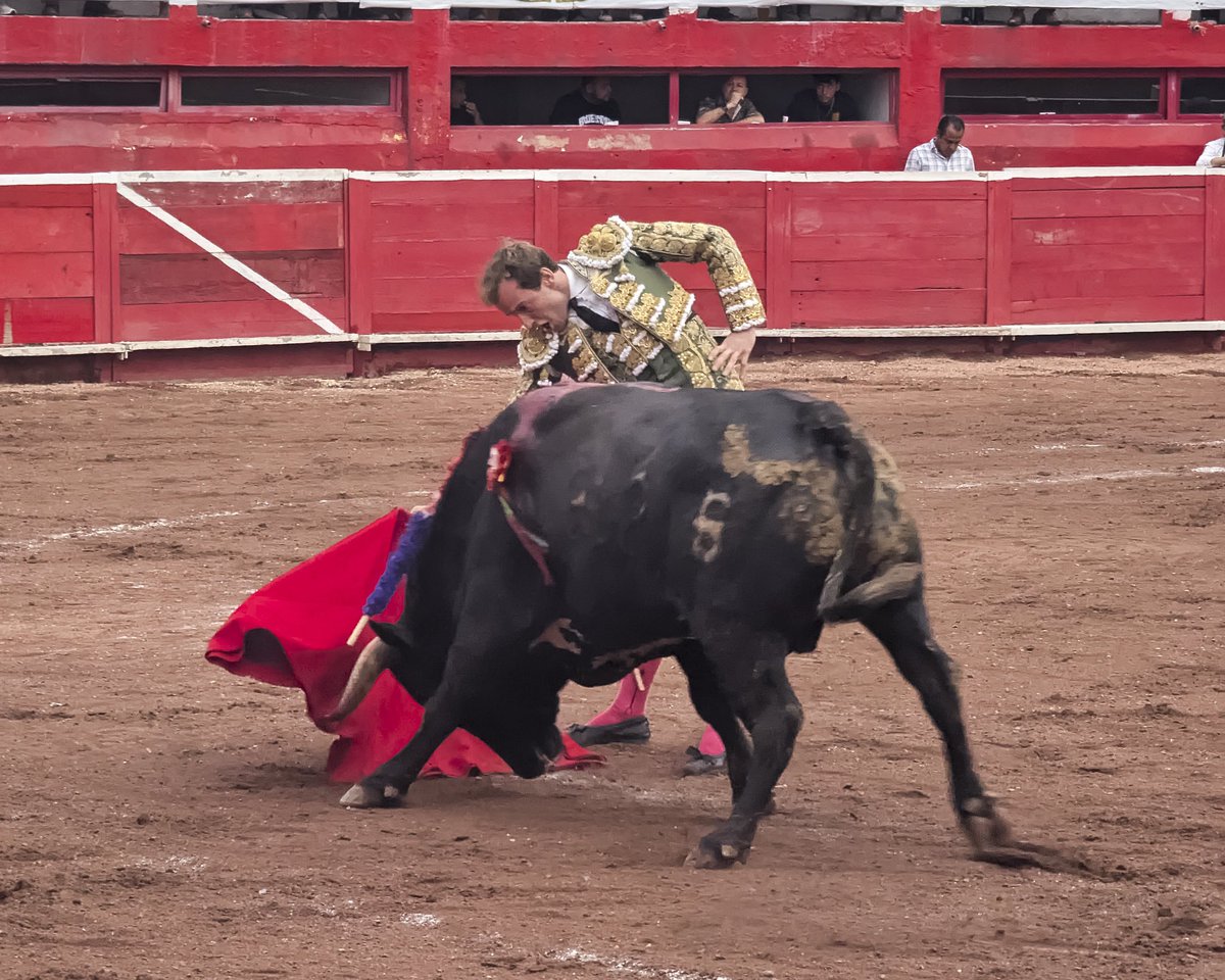 LarryDocimo's tweet image. Plaza de Toros Monumental Lorenzo Garza
20 Octubre 2024

#monterrey #mexico #bullfight #toros #altororaza #bullfighters

#teampixel #pixel7pro