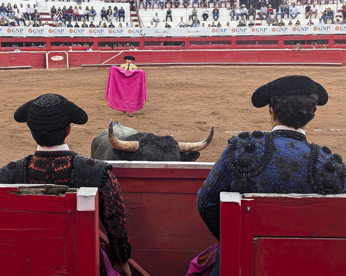 LarryDocimo's tweet image. Plaza de Toros Monumental Lorenzo Garza
20 Octubre 2024

#monterrey #mexico #bullfight #toros #altororaza #bullfighters

#teampixel #pixel7pro