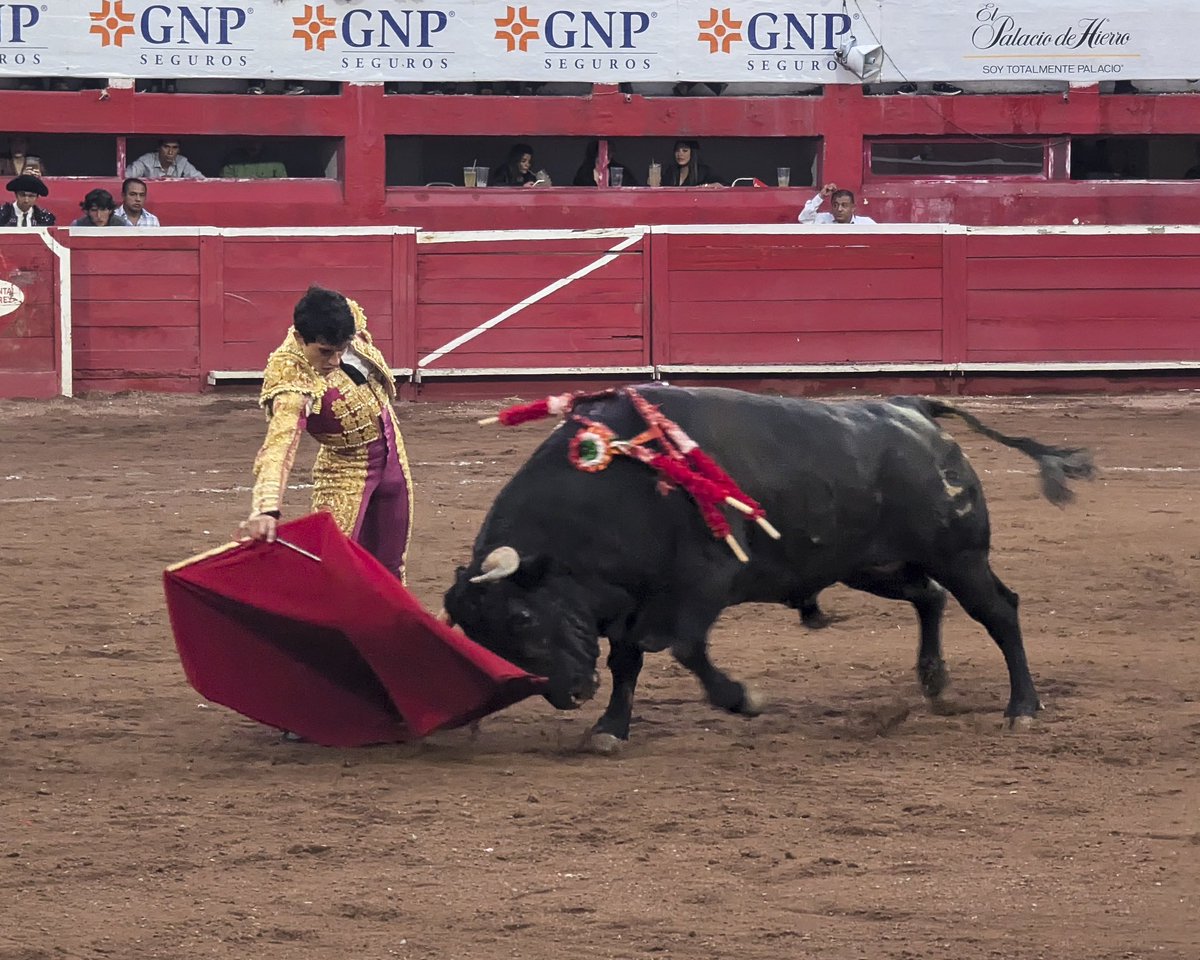 LarryDocimo's tweet image. Plaza de Toros Monumental Lorenzo Garza
20 Octubre 2024

#monterrey #mexico #bullfight #toros #altororaza #bullfighters

#teampixel #pixel7pro