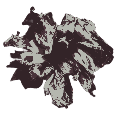 visiontormente's tweet image. I'VE  𝕾EEN  THINGS  I  𝖂ISH  I  COULD 𝕱ORGET─   𝕮HOICES  THAT  𝕳AUNT  ME.