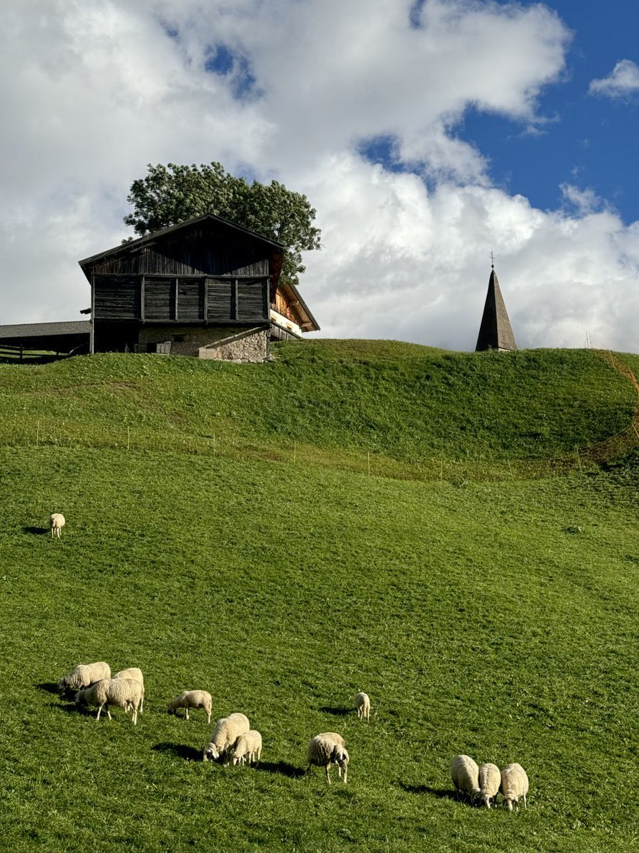 Karolina_iiii's tweet image. There are not only breathtaking mountains and tranquil lakes, but also a wealth of outdoor activities waiting for you to experience. Immerse yourself in the charm of Funes Valley! I am looking forward to going there again on vacation next year 🌄✈️ #Dolomiti #FunesValley #Travel