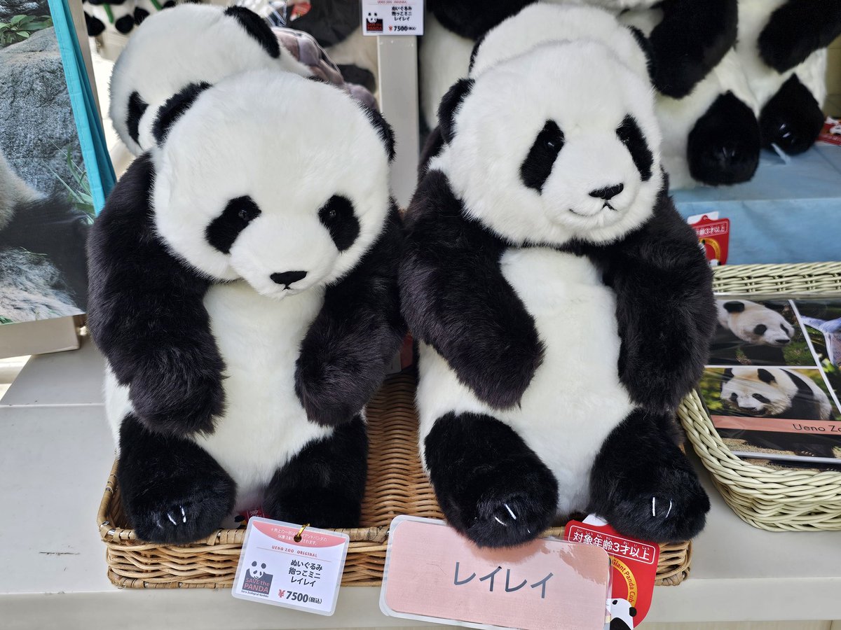 🐼💚✨本日発売✨🧡🐼 抱っこミニシャオレイちゃん シャオちゃんには