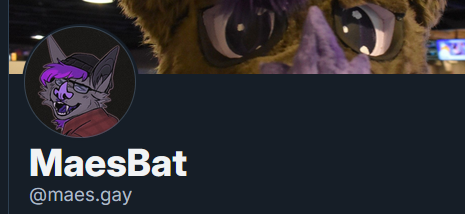 Maes 🦇 tweet media
