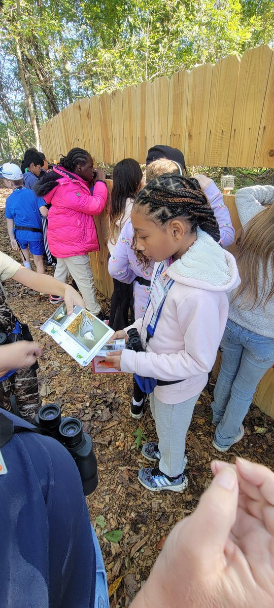 NCEEC (@nanjemoycreek) on Twitter photo Future ornithologists from <a href="/GaleBaileyES/">Gale-Bailey E.S.</a> enjoyed a morning of bird watching. They found a variety of songbirds and raptors, including a bald eagle soaring in the thermals. <a href="/CCPS/">Charles County Public Schools</a> <a href="/CCPS_Science/">CCPS Science</a> #birdwatching #raptors #ornithology Future ornithologists from <a href="/GaleBaileyES/">Gale-Bailey E.S.</a> enjoyed a morning of bird watching. They found a variety of songbirds and raptors, including a bald eagle soaring in the thermals. <a href="/CCPS/">Charles County Public Schools</a> <a href="/CCPS_Science/">CCPS Science</a> #birdwatching #raptors #ornithology
