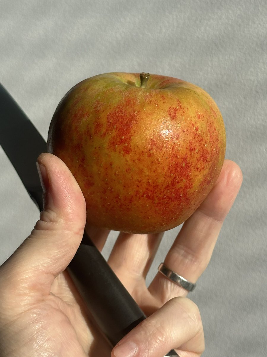 Orleans Reinette

<a href="/ScottFarmVT/">Scott Farm Orchard</a> 
<a href="/foodcoop/">ParkSlopeFoodCoop</a>