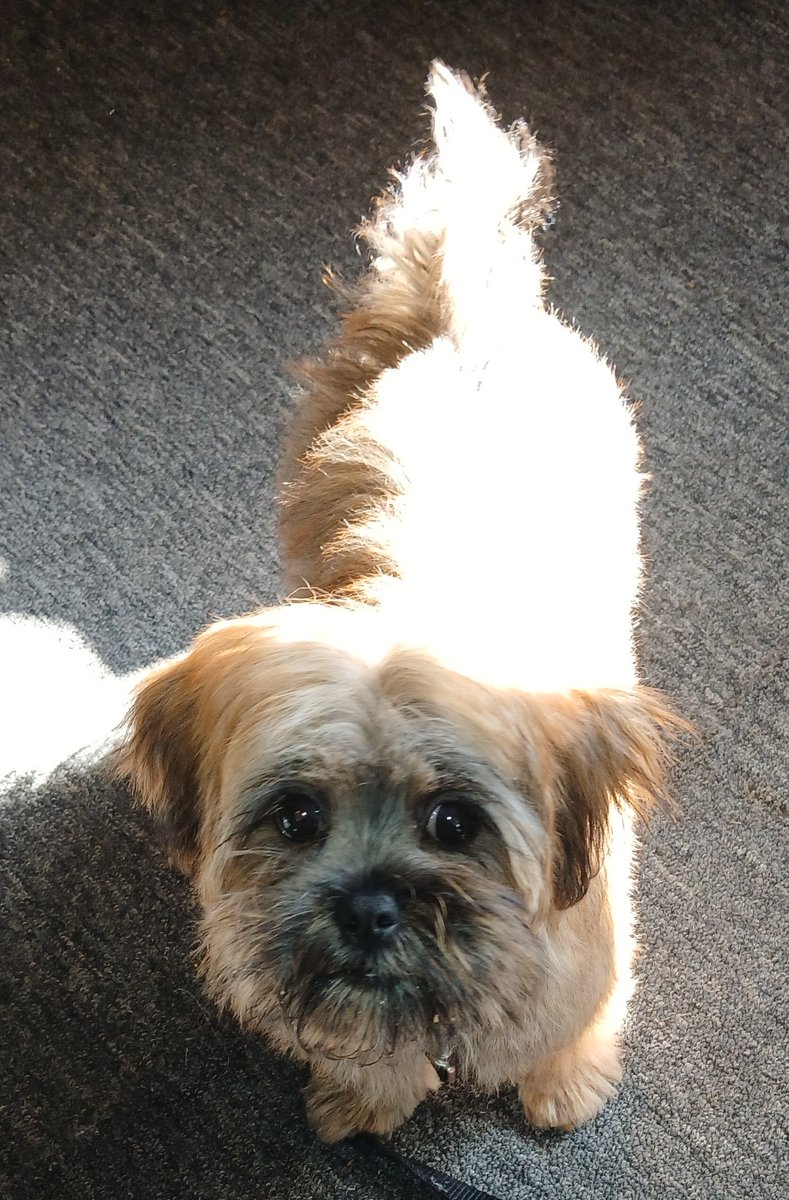 RMT Photography tweet media