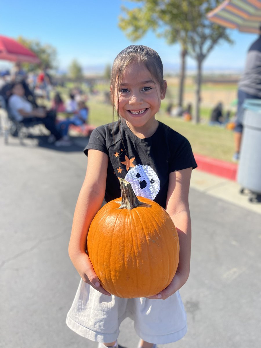 Katie Ermert tweet media