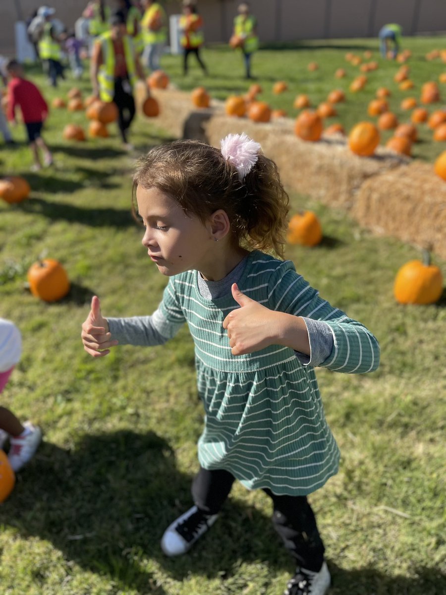 Katie Ermert tweet media