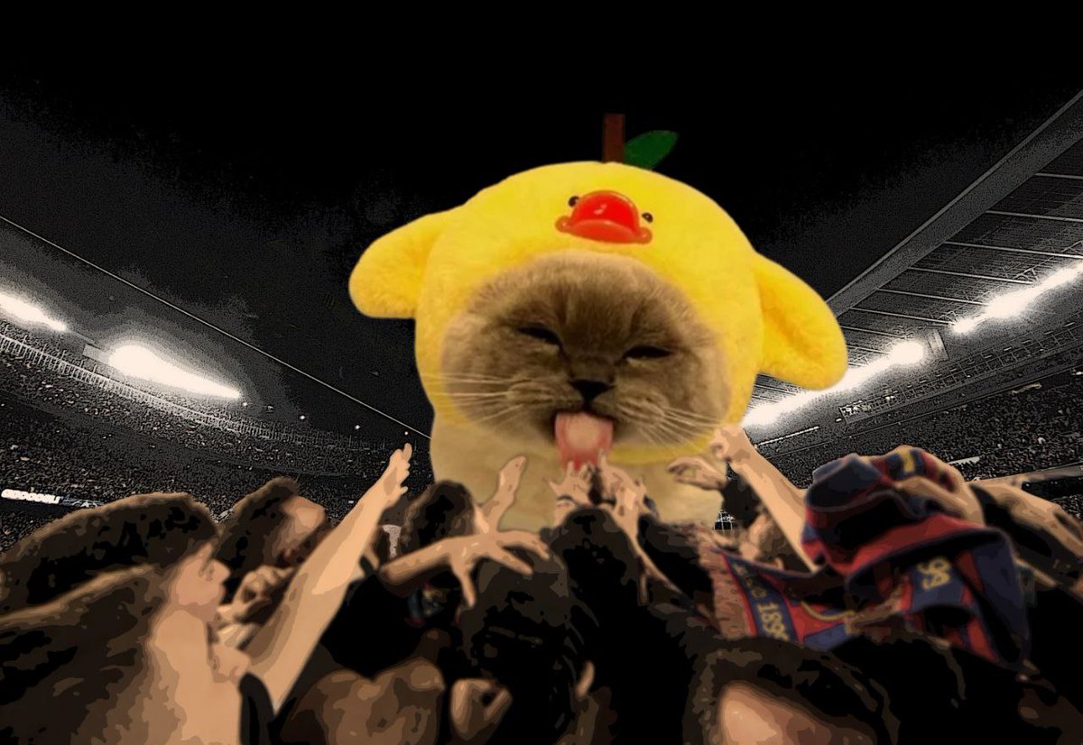 Xiaojie cat | $XIAO tweet media