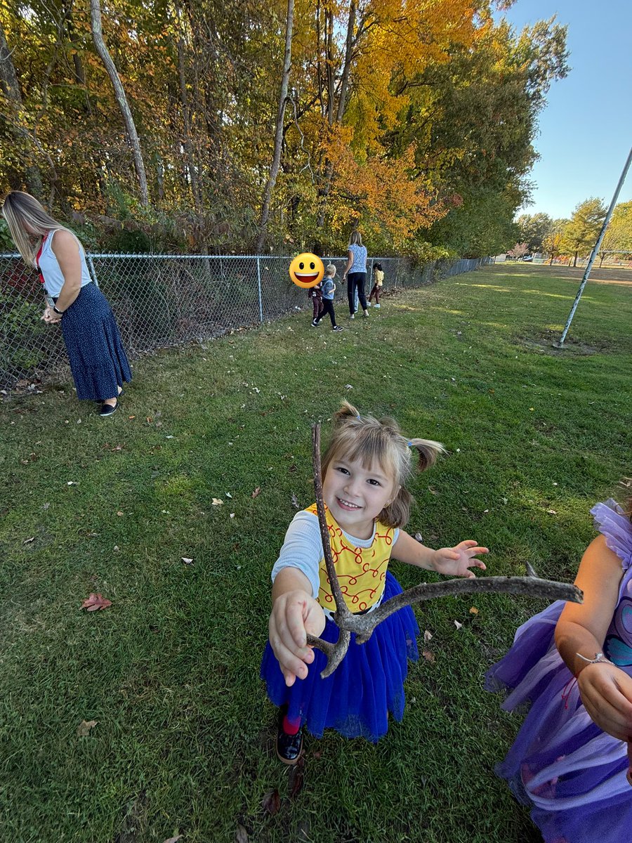 Sarah Gerstein tweet media