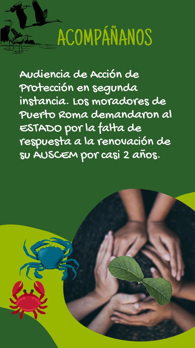 Clara Carrillo Vera tweet media