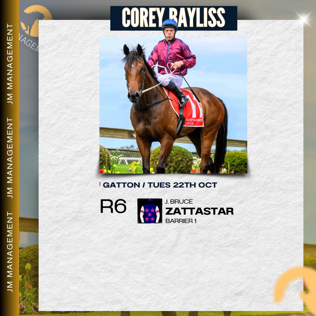 JⓂ️ Ⓜ️anagement tweet media