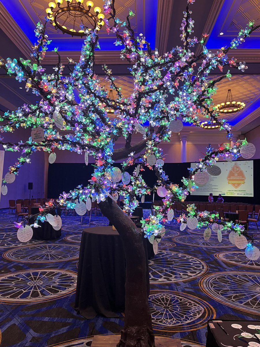 fssdcn's tweet photo. Healthy Meals Summit  FSD takes on Las Vegas. @franklinspecial @fssdJES 
#HMIFallSummit HealthyMealsIncentives https://t.co/VdDguoft35