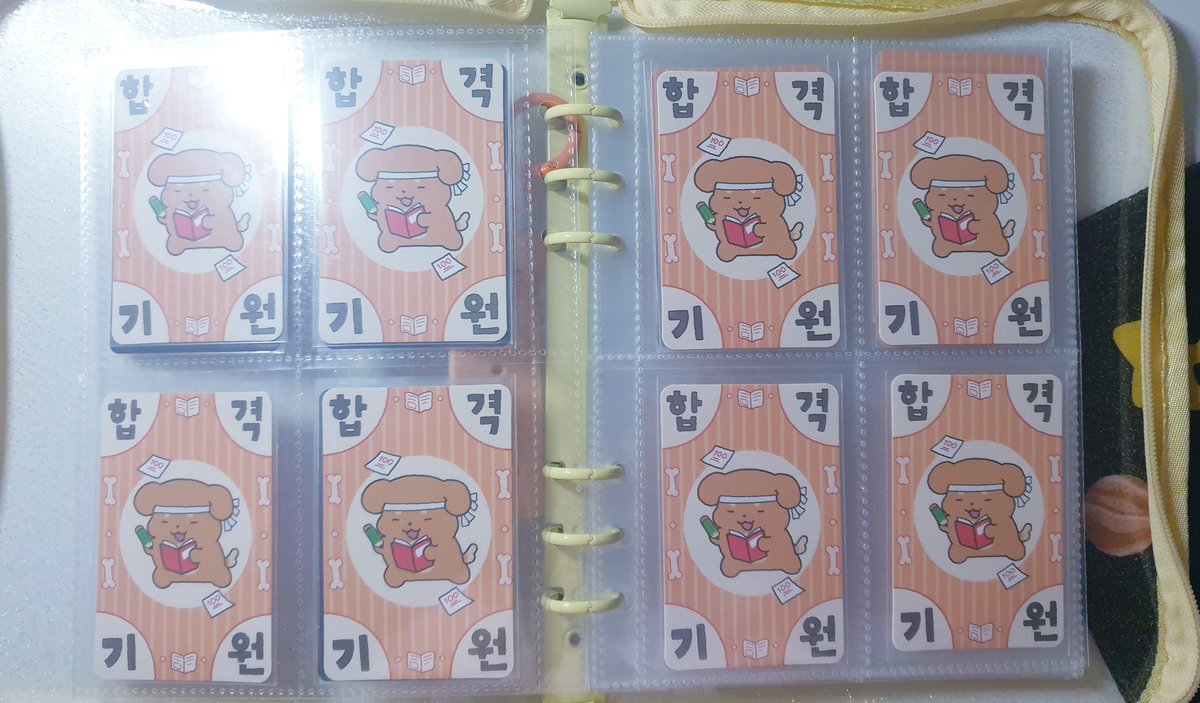 이사진을 보면 무슨 일이든 합격함