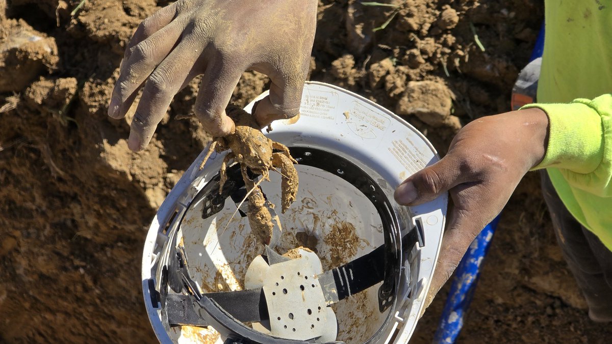 shadowdefense's tweet photo. While building Shadow Defense doomesday bunkers, I usually remind the workers to "use" their hard hats. This is not what I had in mind.
Apparently, we have to spell out our rules very carefully:
Wear hard hats! Do not use hard hats for collecting & storing #crawdads / #crayfish https://t.co/zL4SpxeSg3