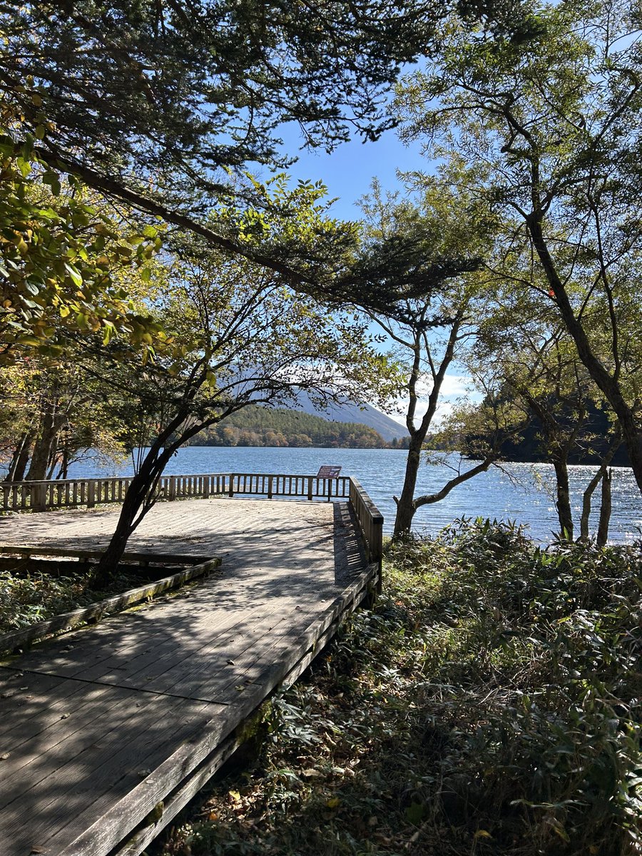 suzty16's tweet photo. 日光紅葉🍁まだ、ちょっと早いかな^_^ https://t.co/OE7EcxaGzx