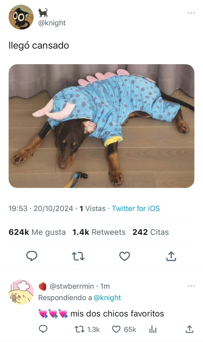 azu ♱ tweet media