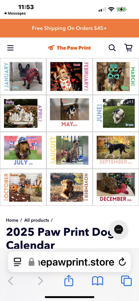 KippAngel's tweet image. Our Big Boy Cujo Is Mr.May @dodo @jennajameson @uproarinhouston @Marcludeman1 @Ap3hang3rs @EdenLake @Maxy_stein @MrsSOsbourne @HoneyBoneRush @HelenaMetalhead @jackbruno70 #puppy #lovedogs #bullybreed #pitbull #puppypower #puppykiss #lovelife #livelife