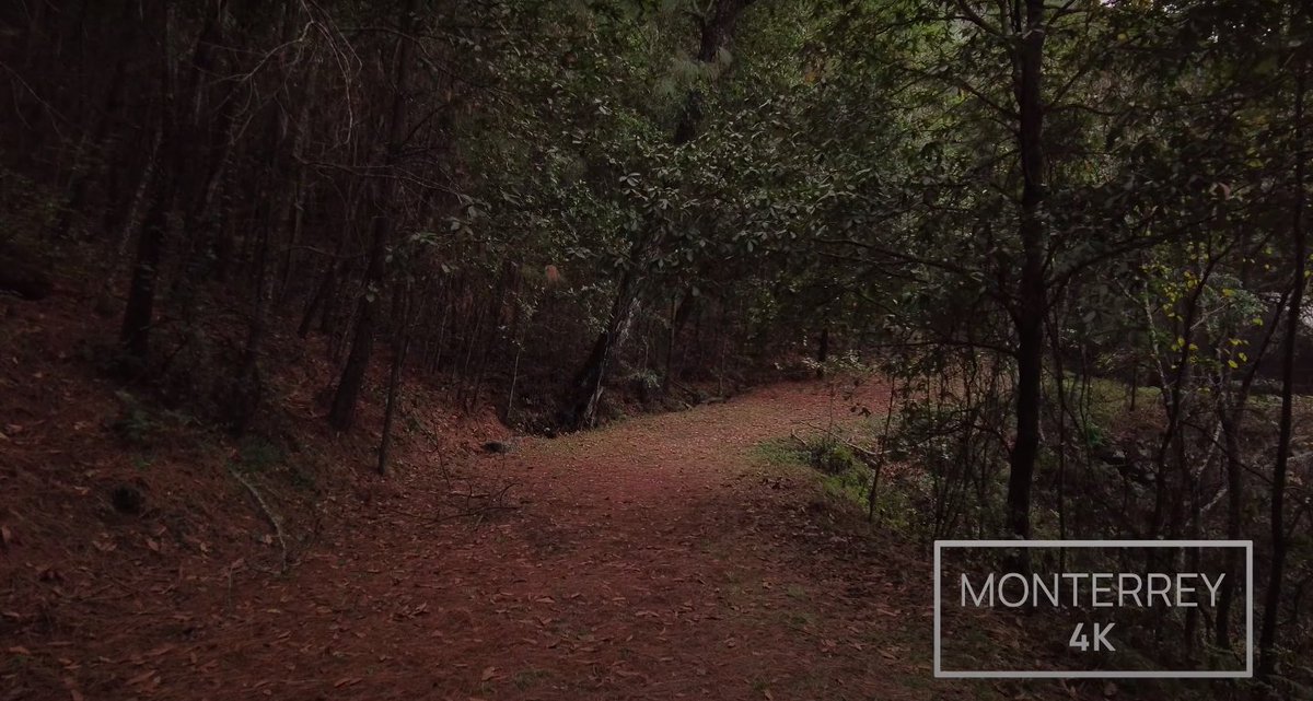 Monterrey4k's tweet photo. Autumn in Nuevo Leon Mexico 🍂🍁🌧🇲🇽 - Otoño
https://t.co/HJBPwBoiTN
#mty #monterrey #autumn #otoño #nuevoleon #mexico #monterrey4k #NL #climamty https://t.co/OXlGm3V7KX