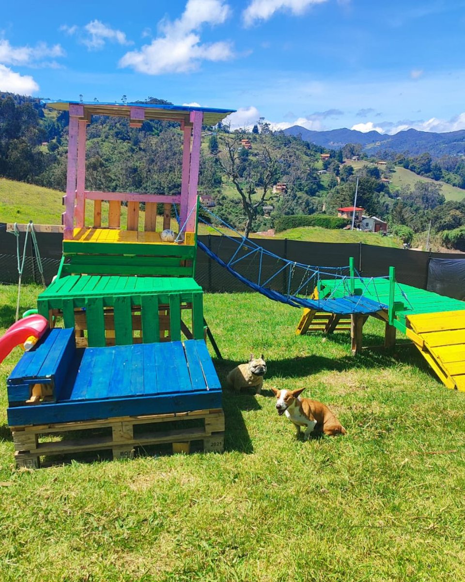 GlobalStrays's tweet image. 🐾 Check out this adorable playpen that our partner shelter, Fundacion Empaticas, built for their shelter dogs! Thanks to the donation of a child’s playpen, they creatively transformed it using pallets, giving the pups a fun and safe space to enjoy. 🐶🎉 
#globalstrays