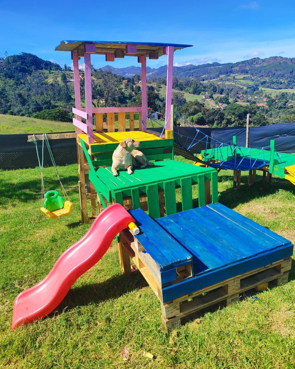 GlobalStrays's tweet image. 🐾 Check out this adorable playpen that our partner shelter, Fundacion Empaticas, built for their shelter dogs! Thanks to the donation of a child’s playpen, they creatively transformed it using pallets, giving the pups a fun and safe space to enjoy. 🐶🎉 
#globalstrays