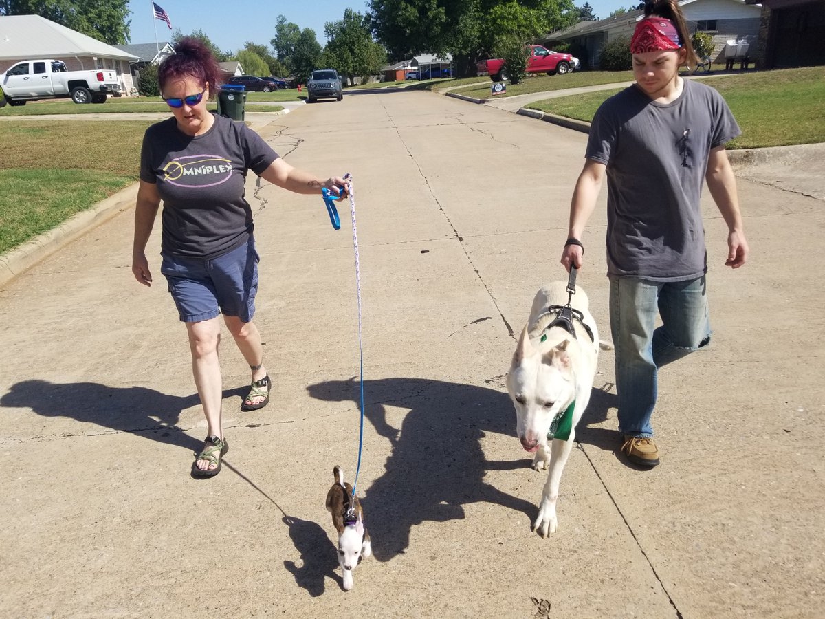 Jethro may only be 3 months old but already hanging with the big dogs (with Aunt Bow, friend Wilbur and Uncle Cosmo)