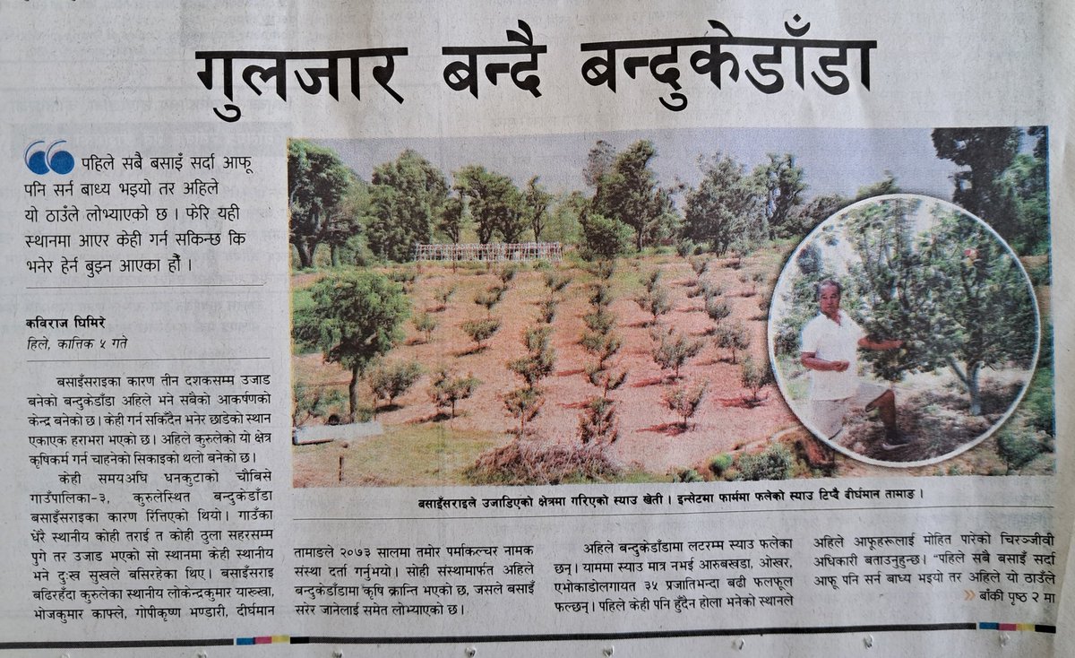 बसाई सराई सम्म रोक्ने खुबी रहेछ फलफूल खेतीमा। धनकुटाको कथा हो यो।👇️👍️