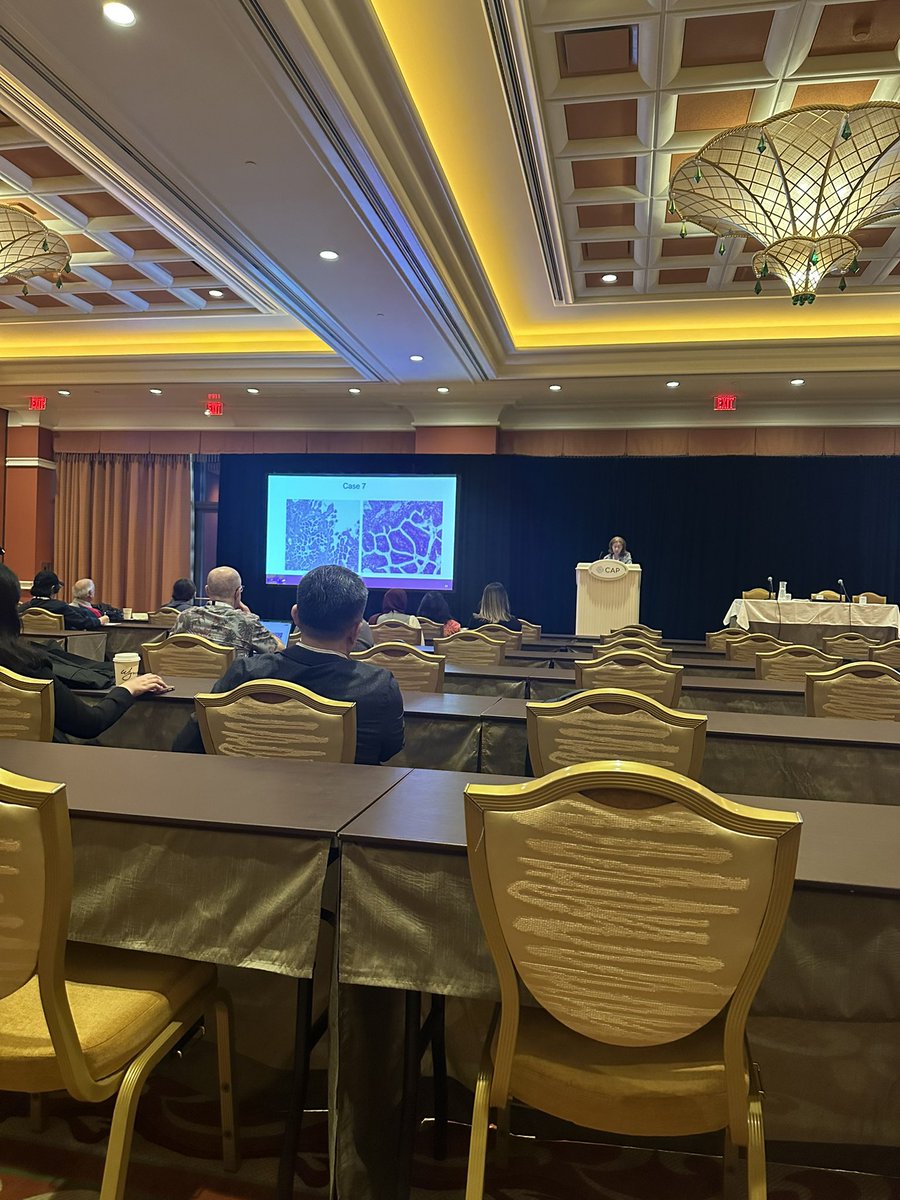 DZenezan's tweet image. Had so much fun this meeting! Catching interesting lectures and gathering with amazing people #CAP24