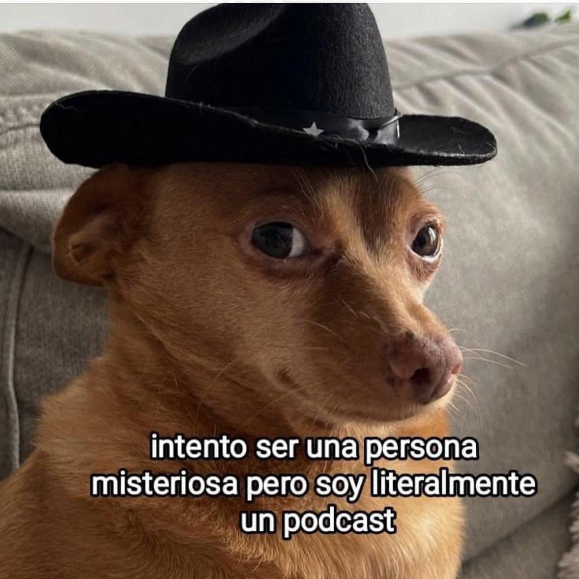 Hugousky (@hugousky) on Twitter photo 