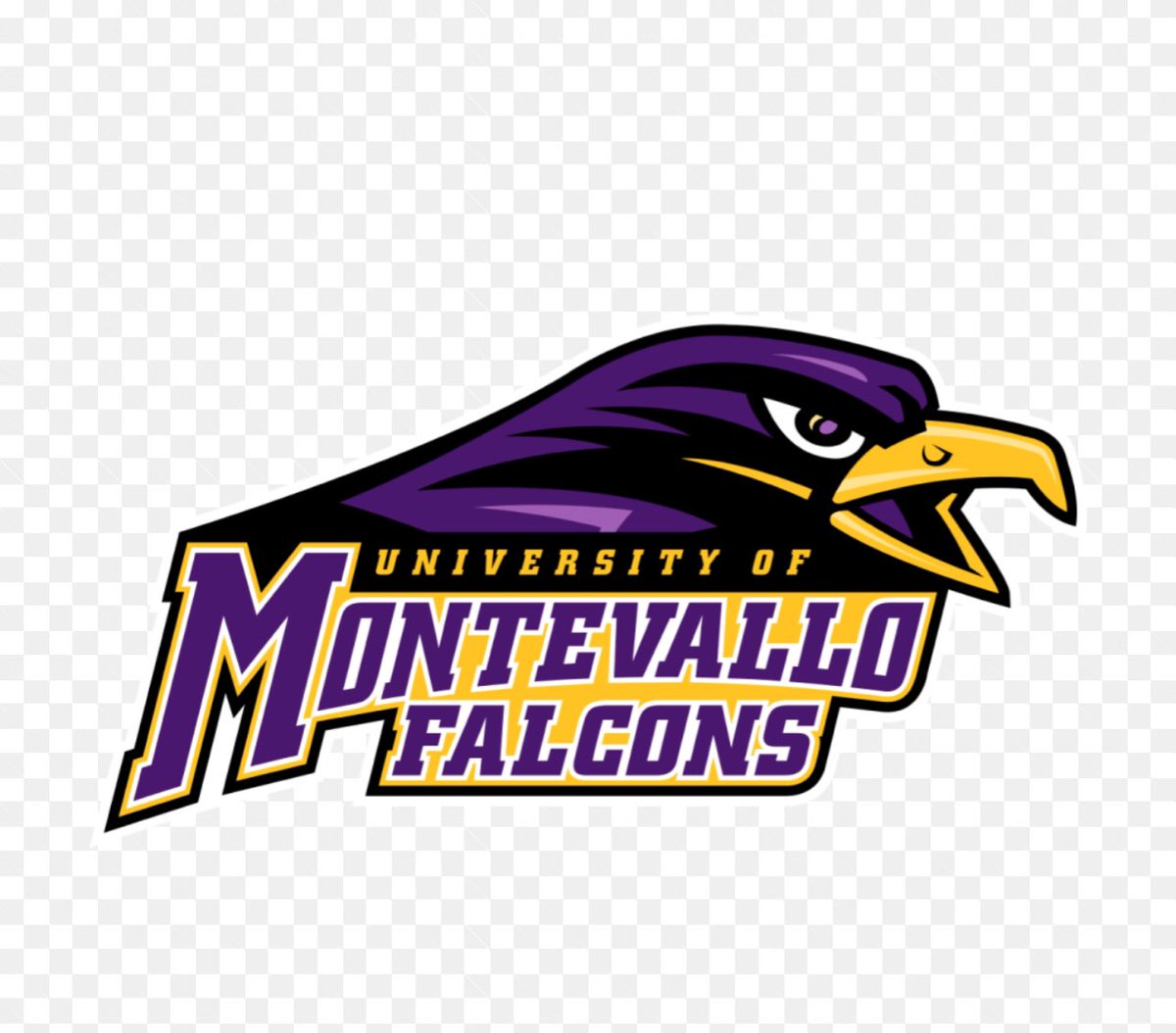 Shout to Coach Clem for bringing me on my first Official visit! Very beautiful campus!