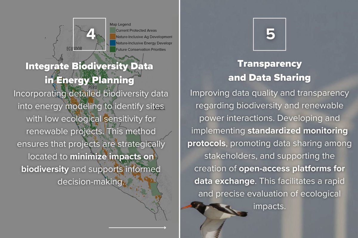 As #COP16 begins, we're at a pivotal moment. 🌏

Scaling up renewables is imperative to combat climate change—and with careful planning, it can enhance biodiversity protection.

Learn how we can integrate nature-based solutions in renewable energy to protect our ecosystems. 🌳👇