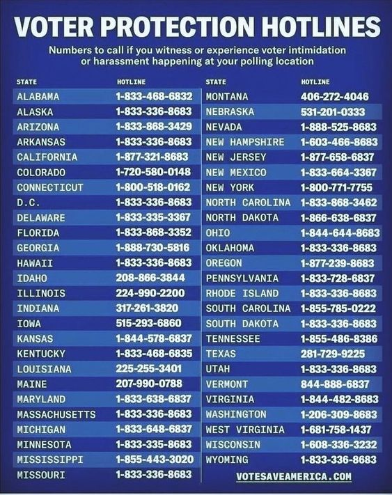 diannew314159's tweet photo. @donwinslow More numbers to call if you get harassed at the polls. https://t.co/N0WAsDBx1g