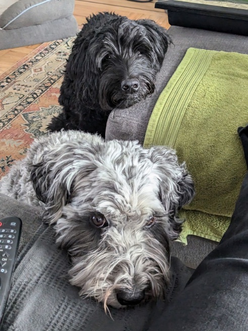 Tim Monks (@itsmonktastic) on Twitter photo 