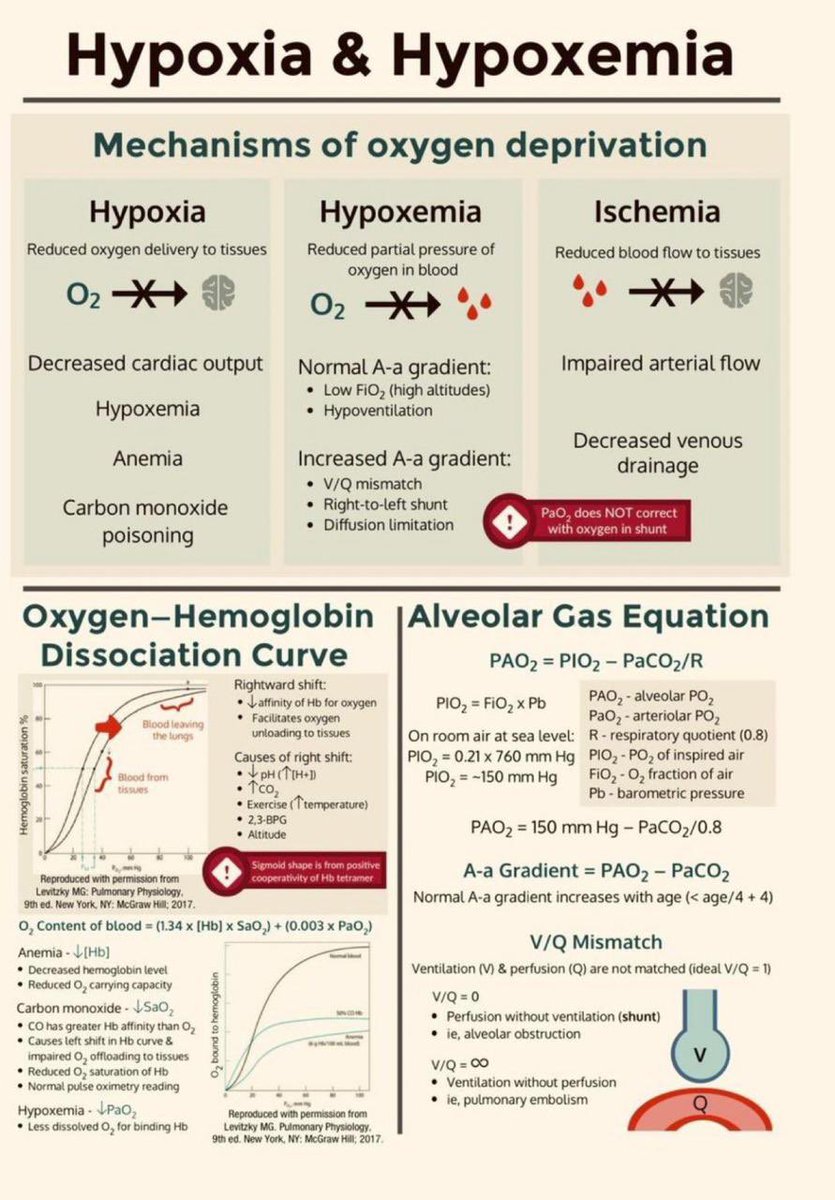 Hypoxia Vs Hypoxemia

#PedsICU #SoMe4mv #Cardiology #ventilation #FOAMed