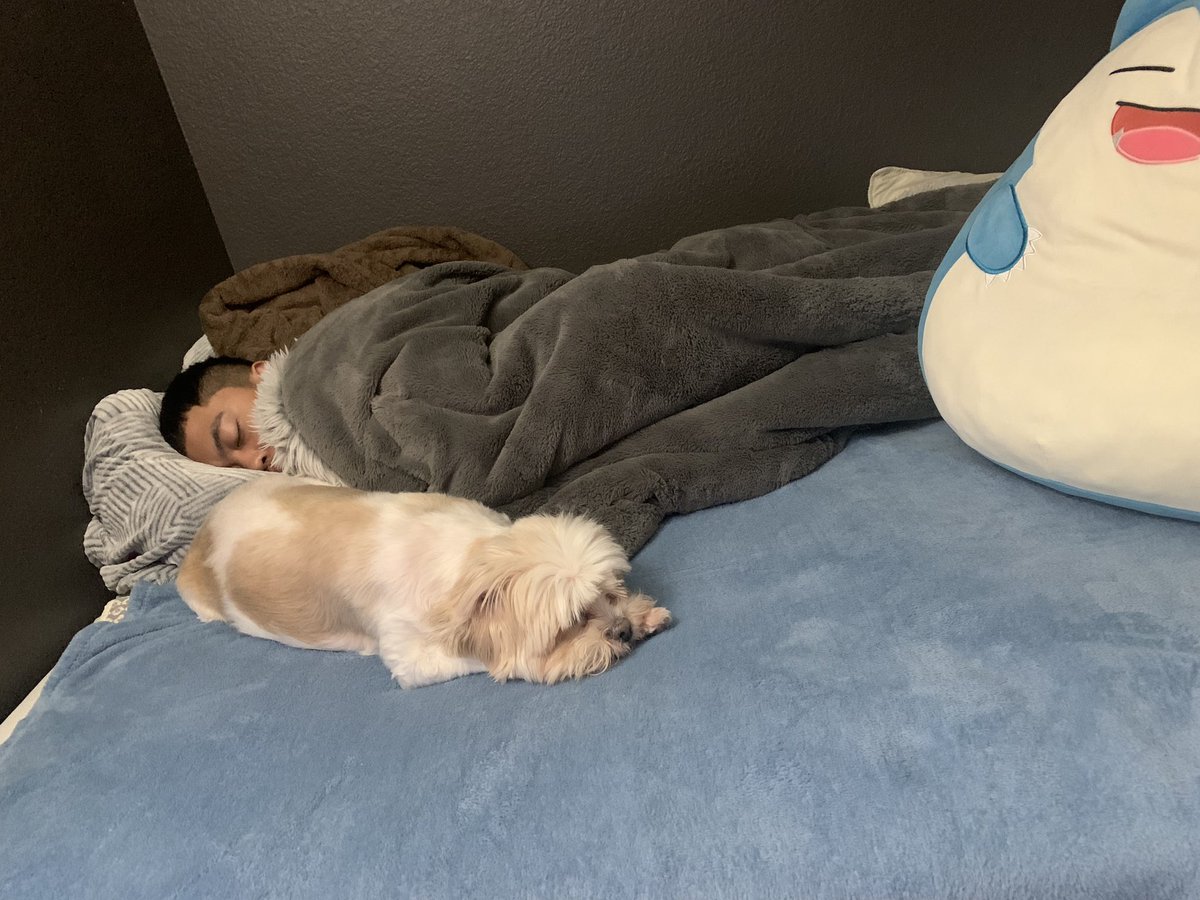 icechwer's tweet photo. 💔💔 https://t.co/pyIfVkVf3a