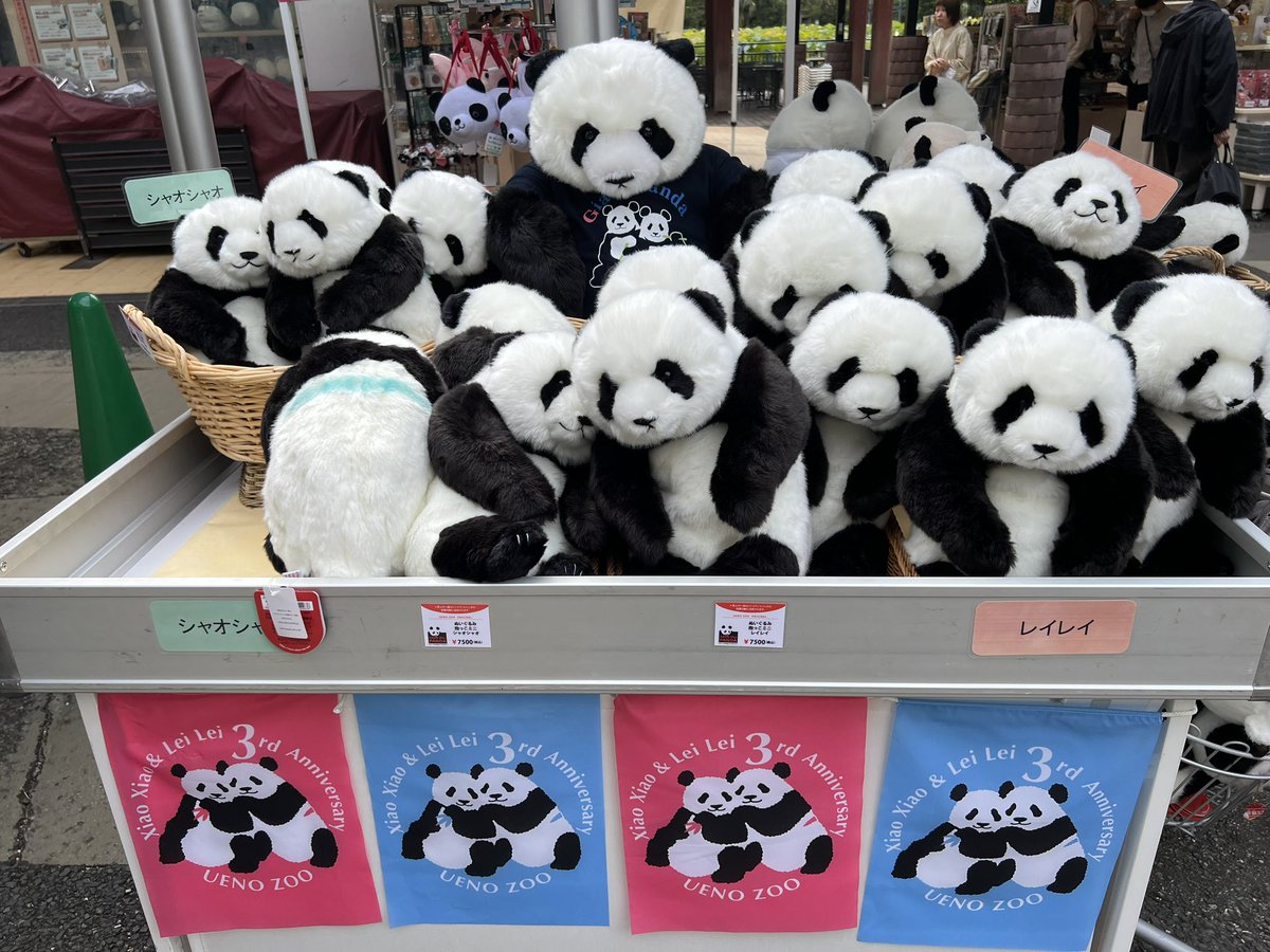 また新商品が出てました！ 抱っこミニシャオシャオとレイレイ🐼 シャオ