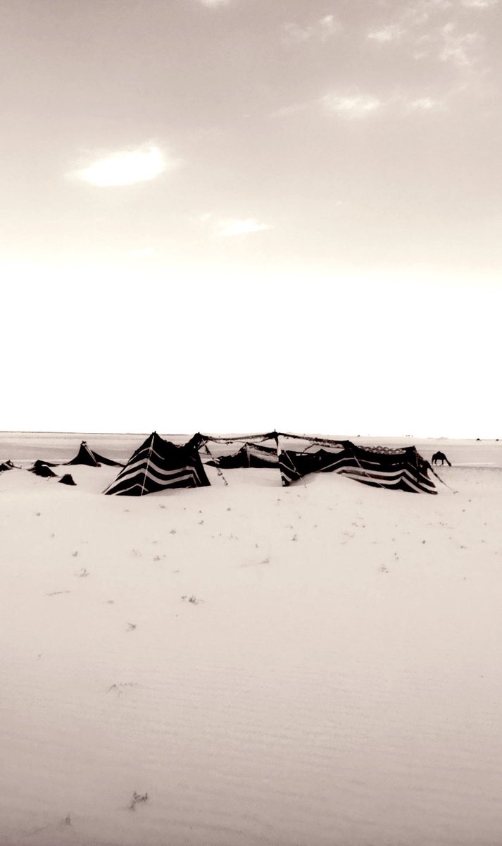 شـفّ بقـايا قصـر حبـك تـلاعبه  الهبــوب 
خـــاوي ٍ لافـيـه مــاوى  ولا حـــولــه ذرى