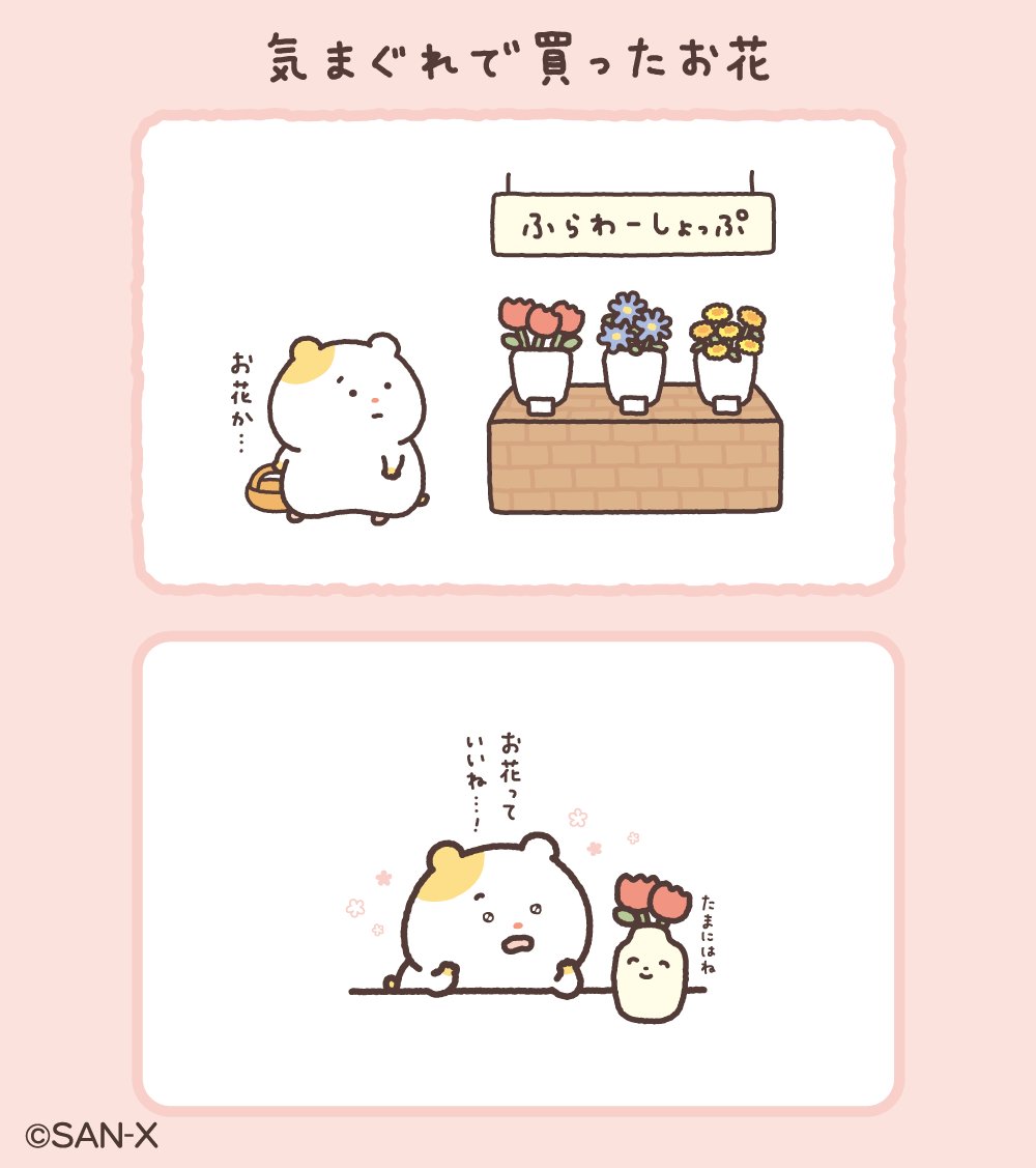 🐹今日のちまハピズ🐹 #気まぐれで買ったお花🌷 これからたま〜に買お