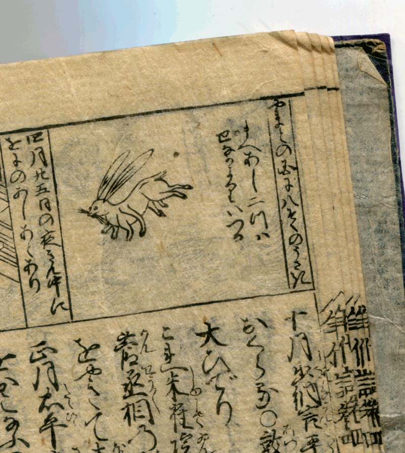 わたしが八足の兎だ 