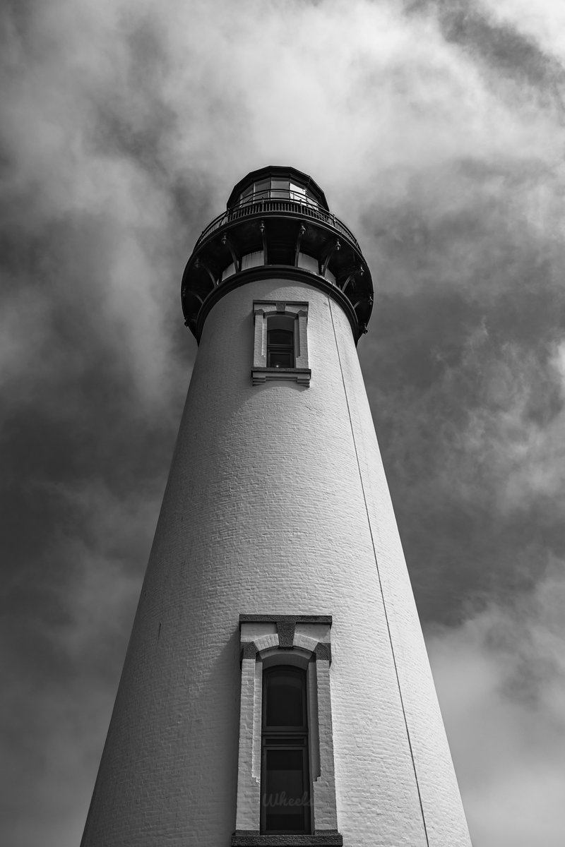 Wheels (Sean) tweet media