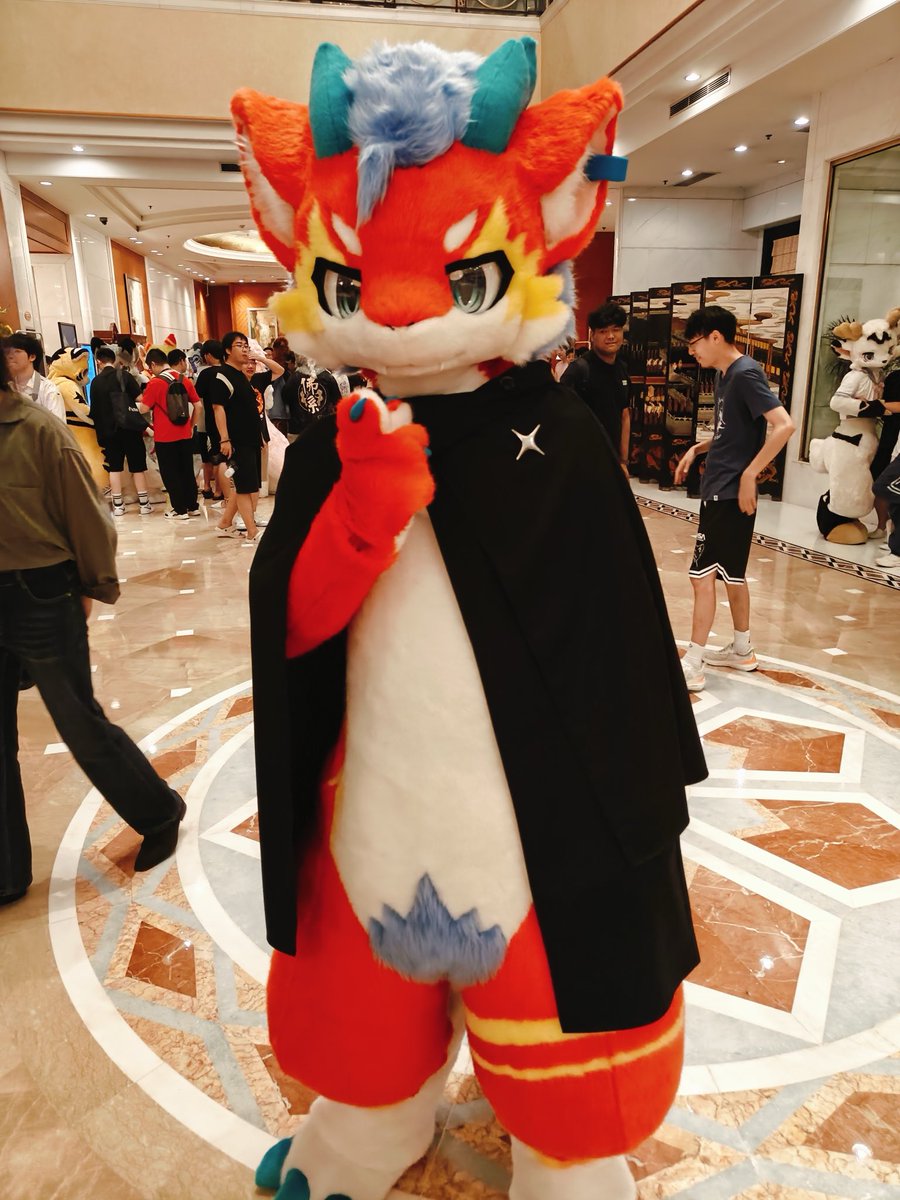 #白お腹選手権