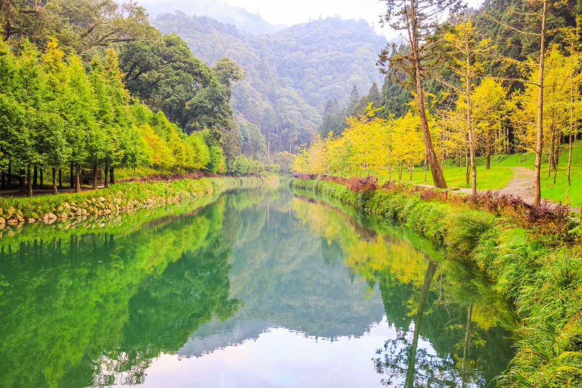 Matices otoñales🍁🍂
El follaje de los arces en el Resort de Bosque y Naturaleza Sun-Link-Sea, en el distrito de Nantou, está cambiando rápidamente de color, y los ginkgos empiezan a tornarse amarillo brillante. 
📷FB愛上杉林溪