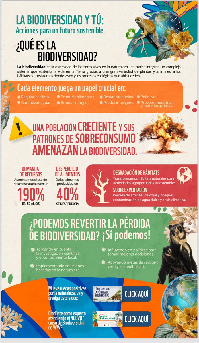 Un ABC en plastilina con datos cocteleros para hablar del tema en tendencia: La #biodiversidad Comparta con todo el que pueda y recuerde que esa diversidad de la vida en la naturaleza es lo que nos mantiene vivos! <a href="/DagmaOficial/">DAGMA</a> <a href="/WWFColombia/">WWF Colombia</a> #cop16