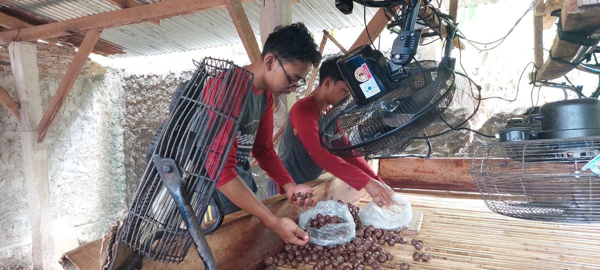 dodirahmad's tweet photo. Sabtu (19/10/2024), Dodi Rahmad A, S.Pi, Luhkan Kec. Merbau Mataram Kab. Lampung Selatan, Meninjau Poklahsar Cahaya Bahari dalam Produksi Bakso Ikan Tuna sebanyak 15.500 pentol, harga 700/pentol, penjualan wil sumbagsel.

#GiatLuhkanSatminkalBRPPUPP 
#luhlapor https://t.co/O8bbOMhKvc