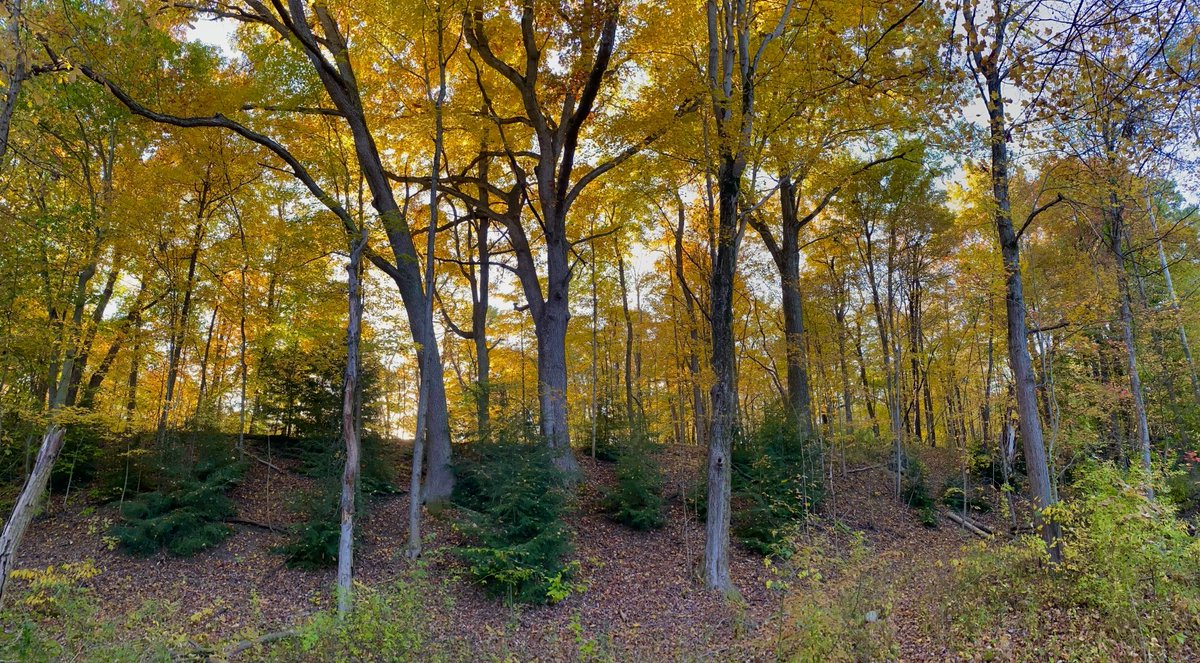 jjopperman's tweet image. Along the Chagrin River