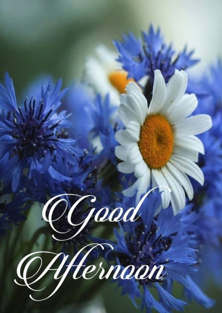 drab323's tweet photo. Good afternoon ❤️💐

Never stop learning, because life never stops teaching.🫡

Stay connected ✨🌹 https://t.co/9M6nL22DtG