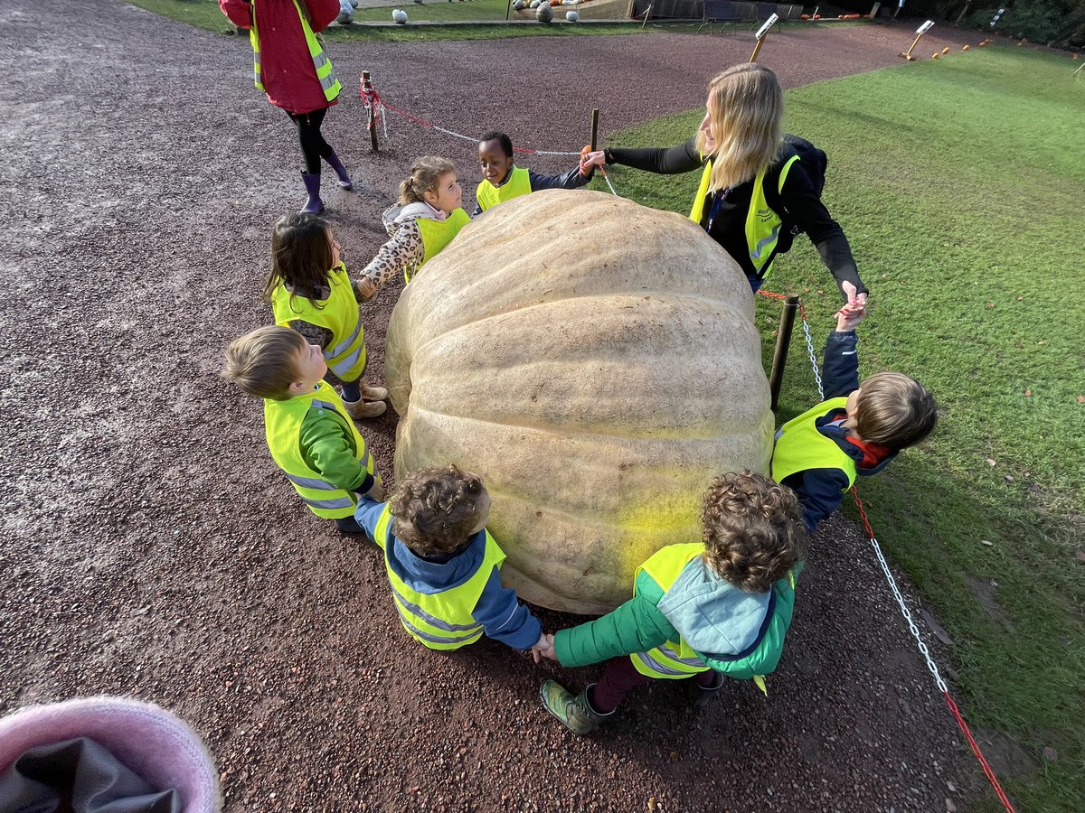 BSBTrips tweet media