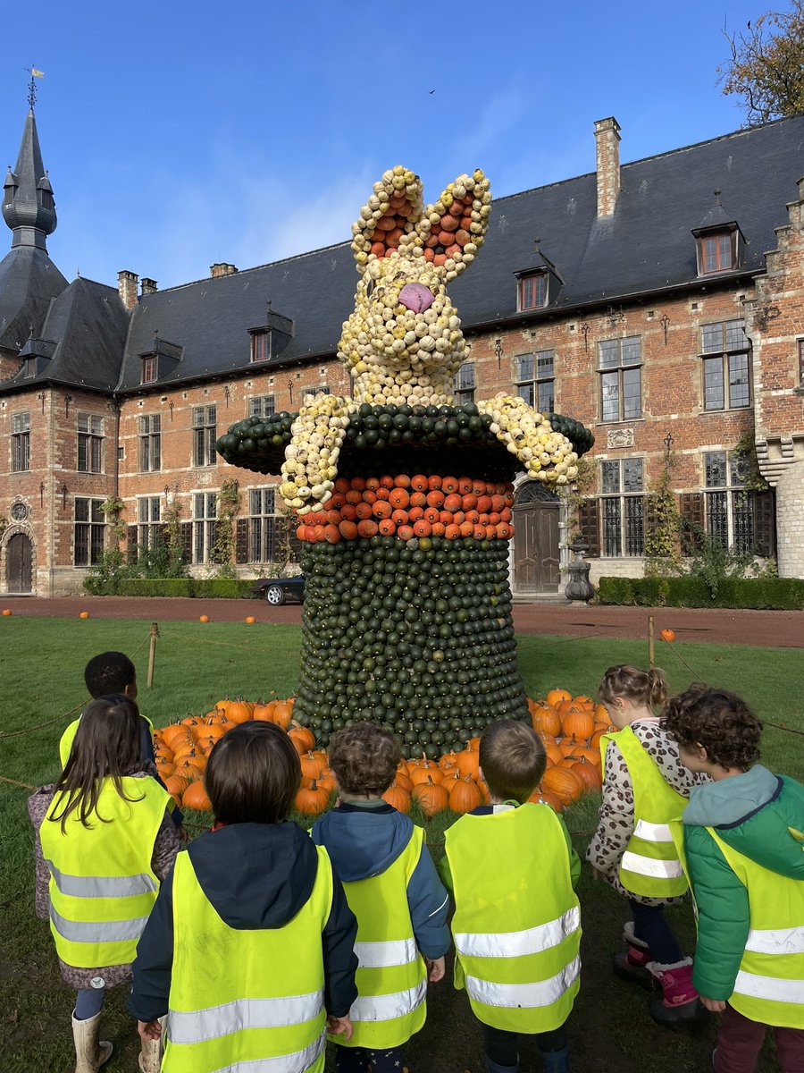 BSBTrips tweet media