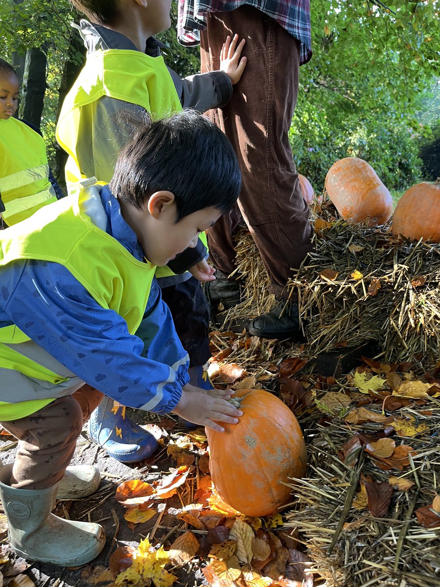 BSBTrips tweet media